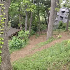 どきどきドッグPARK生田