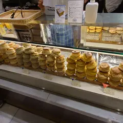 ロダス