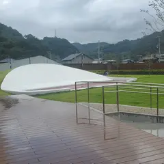 海南サクアス