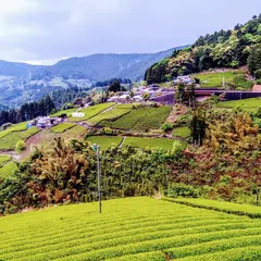 天空の茶産地川根
