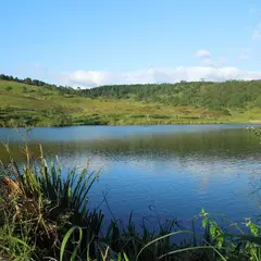 曽田の池