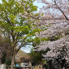 市民の森スポーツ公園