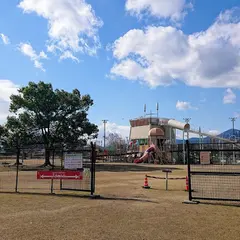 坪井公園