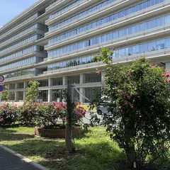 平塚市役所