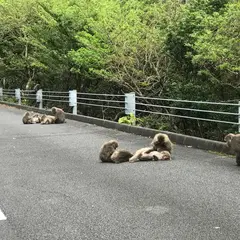 西部林道
