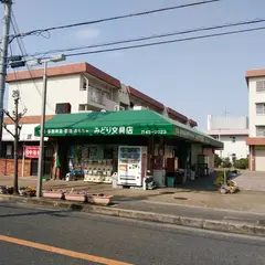 みどり文具店