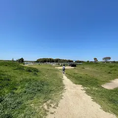 海とのふれあい広場 ドッグラン