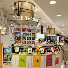 KAGOME GREENS Catch the Rainbow