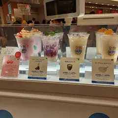発酵カルピスパーラー
