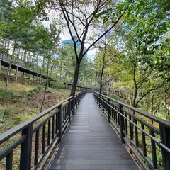 梅峰山