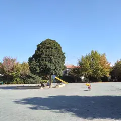 志木の杜公園