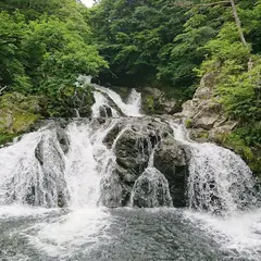 中野白滝