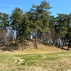 八幡山古墳