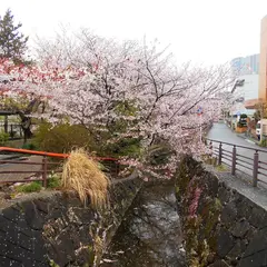 二ヶ領用水 桜の名所