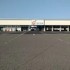 カワチ薬品 富田店