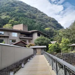 阿讃琴南