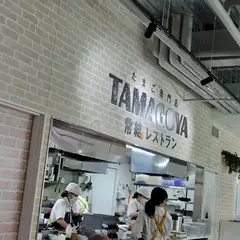 たまご専門店TAMAGOYA常総レストラン