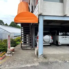 ニューアルプス