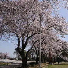 富士山公園