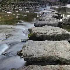 とび石