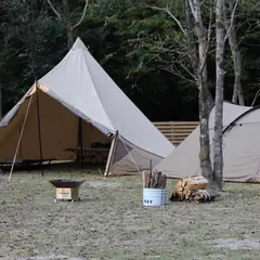 Marci Forest Camp