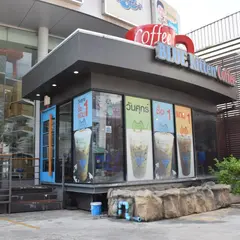 Blue Kitten Coffee