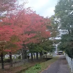 赤保木公園