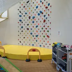 どんぐりbase
