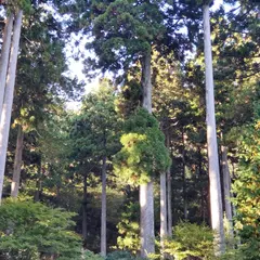箱根神社 参拝者第３駐車場・車お祓い所