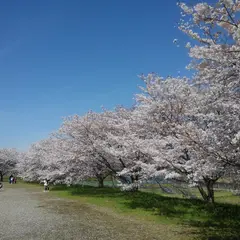 木津川市中央体育館