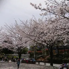 めぐろ区民キャンパス公園