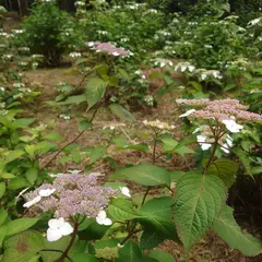 稲荷山公園駐車場