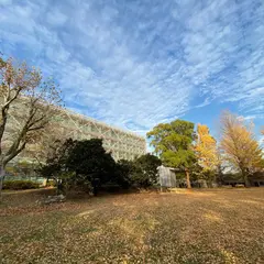 東京工業大学 大岡山キャンパス 緑が丘３号館