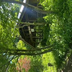 たじま高原植物園（バス）