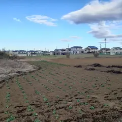 み春野