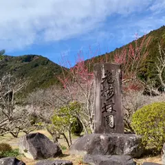 久住山 洞慶院