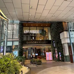 ゲイソン ヴィレッジ
