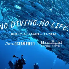 ハイライト ダイビングサービス