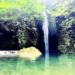 Goa Raja Waterfall