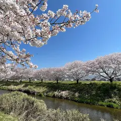 西郷ほたるの里