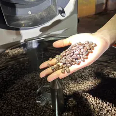 Ploysai Coffee Roaster