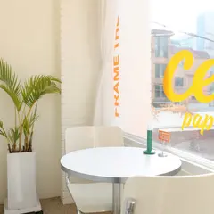 셀럽 파파라치