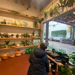 Plant Based
