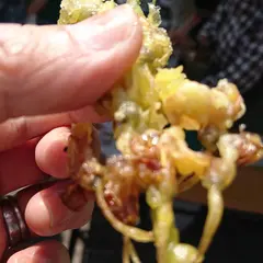 さざんか高原物産販売所