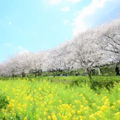 権現堂公園 ３号公園