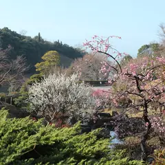 冠梅園 - 冠山総合公園 梅の里