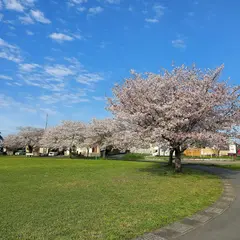 刈草中央公園