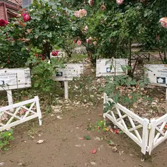 薔薇館 バラ園