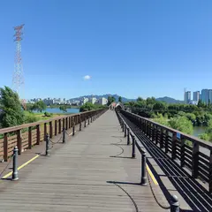 Seonyudo Hangang Park