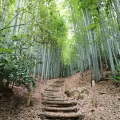 九州オルレ みやま・清水山コース（神宿る竹林）